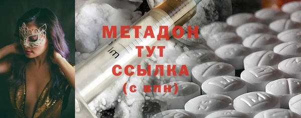прущие грибы Алзамай