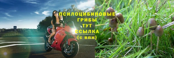 марки lsd Алексеевка