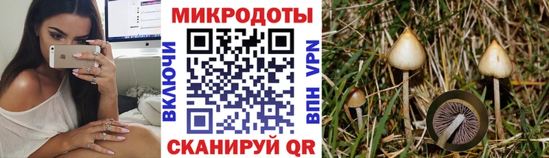 KRAKEN онион  Чердынь  Псилоцибиновые грибы прущие грибы  как найти наркотики 